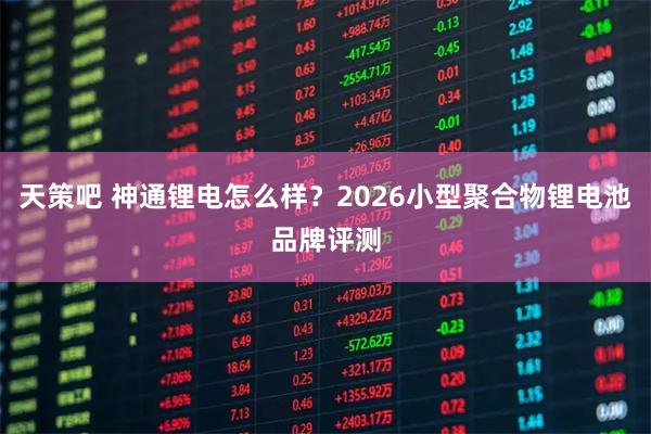 天策吧 神通锂电怎么样？2026小型聚合物锂电池品牌评测